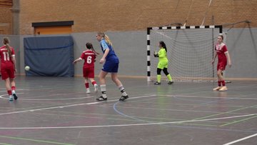 Bild 10 - Videos